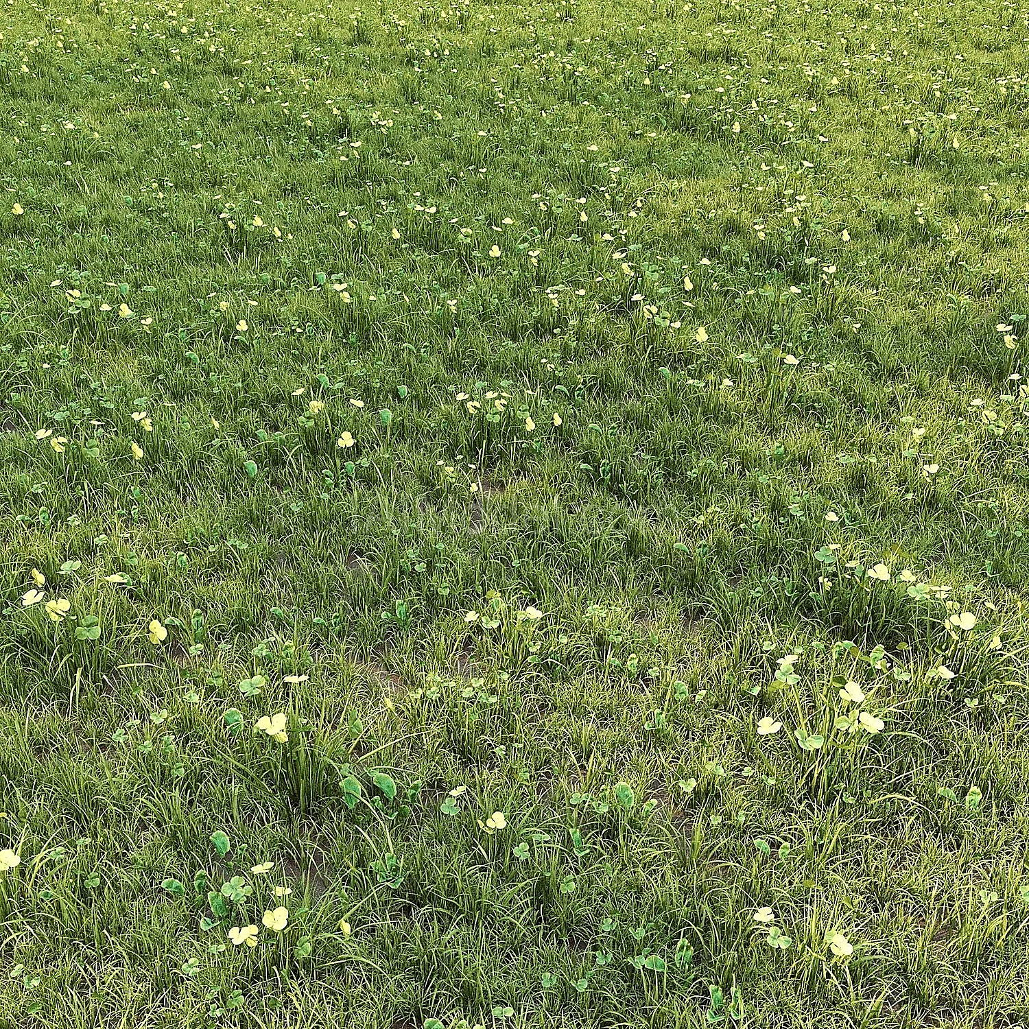 img1