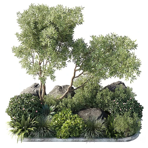 现代植物堆景观组合