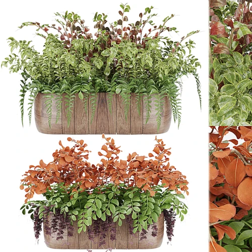 现代绿植盆栽