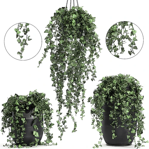 现代绿植吊篮盆栽
