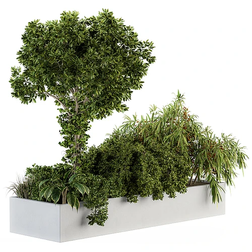 现代绿植花坛