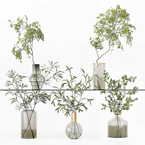 现代水生植物