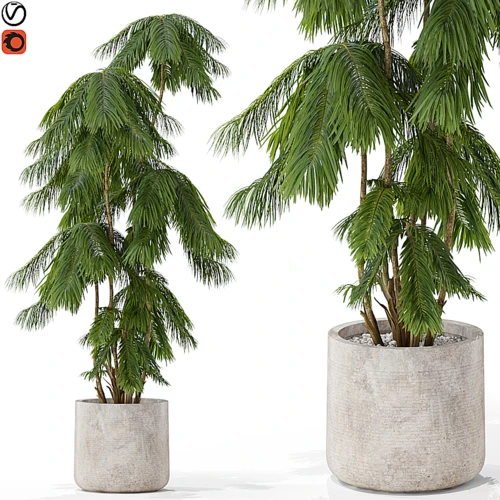 现代绿植盆栽