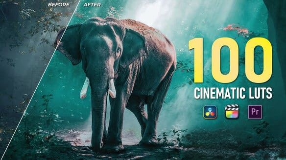 100组大气史诗视频调色预设 100 Cinematic LUTs Color Grading (AE/PR/FCPX/达芬奇/PS等)