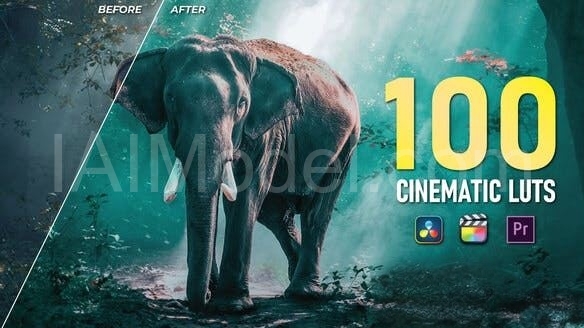 100 Cinematic LUTs Color Grading