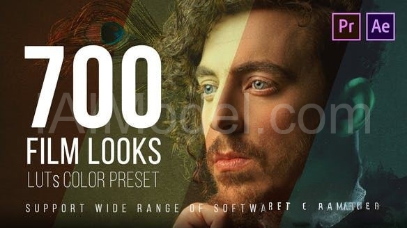 700 Film Looks