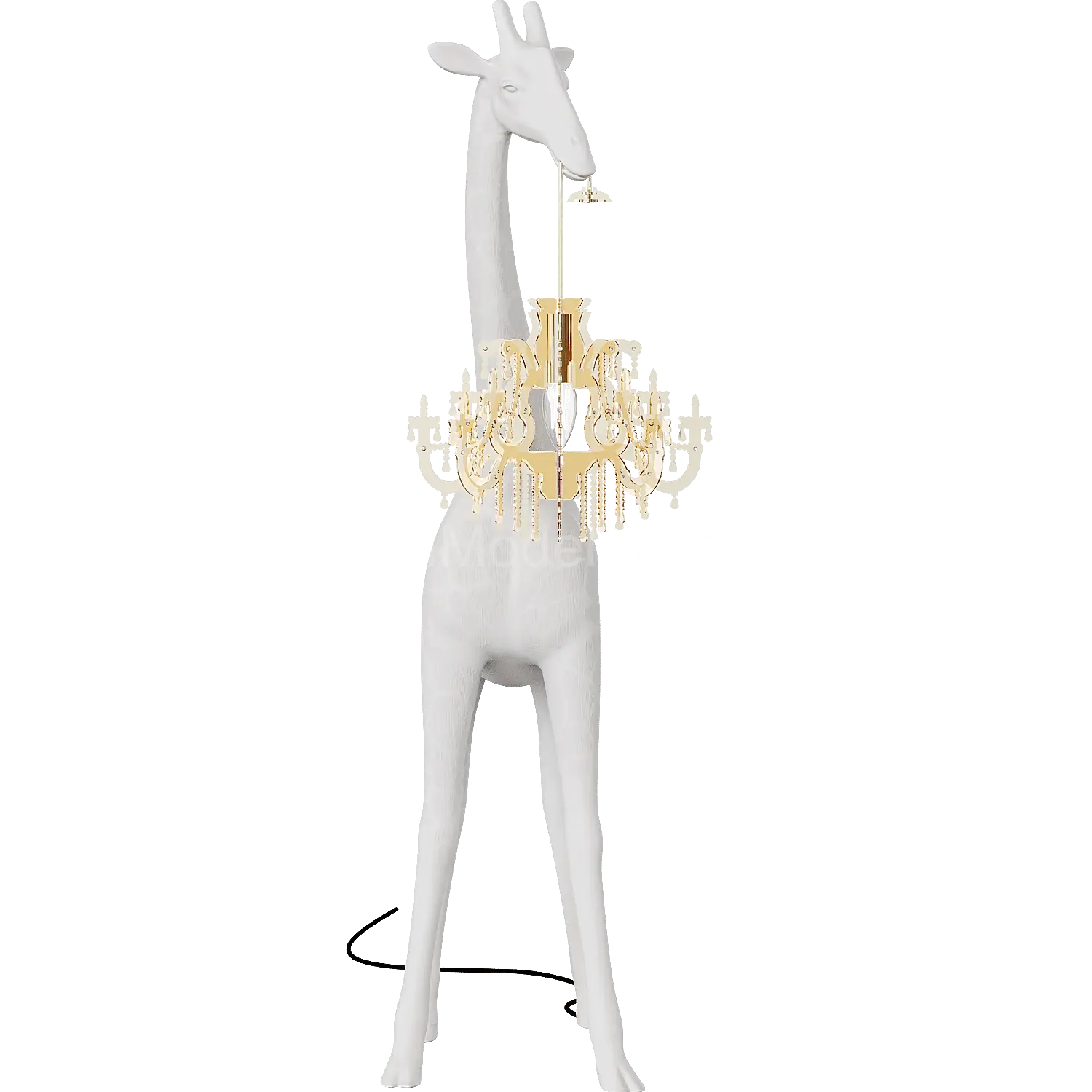 img1