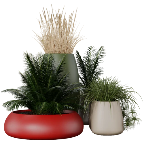 植物