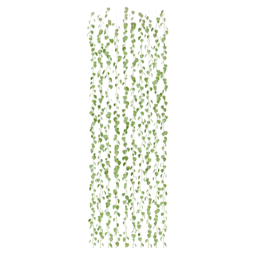 植物