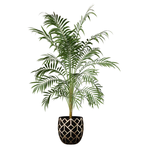 植物