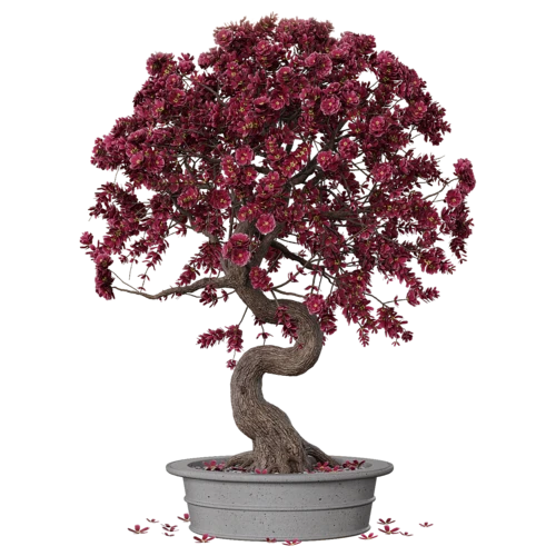 植物