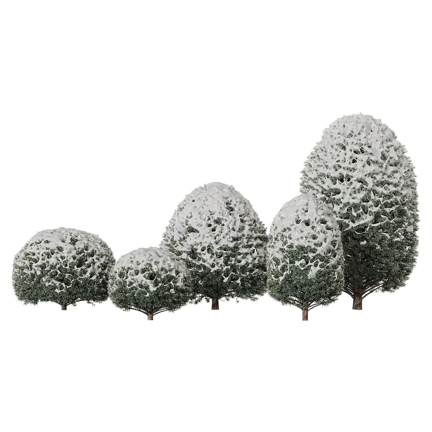 img1