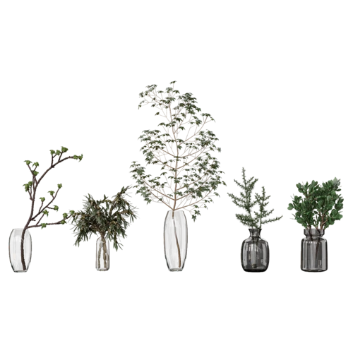 植物
