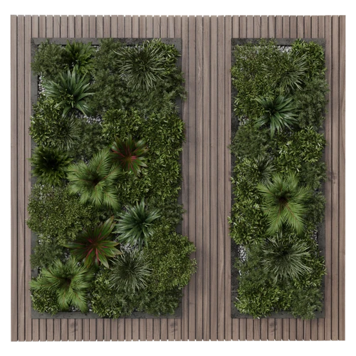 植物