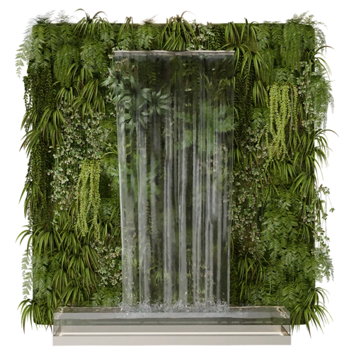 植物