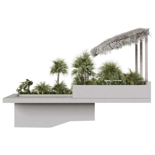 植物