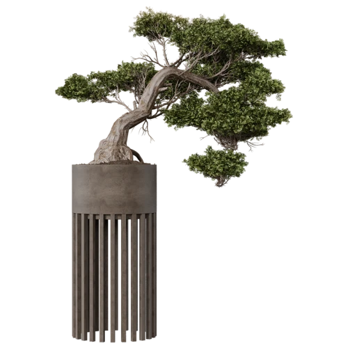 植物