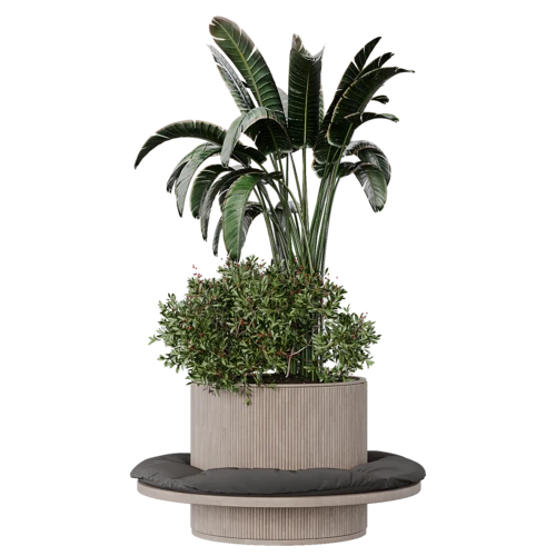 植物
