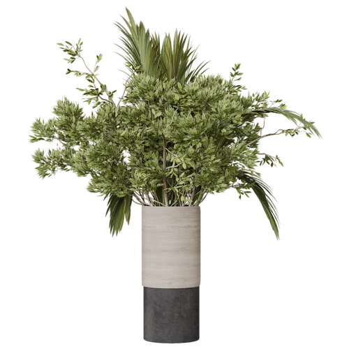植物