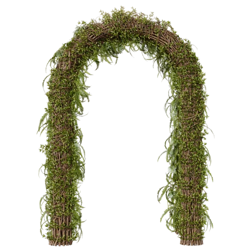 植物
