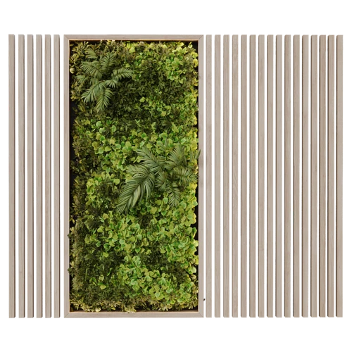 植物