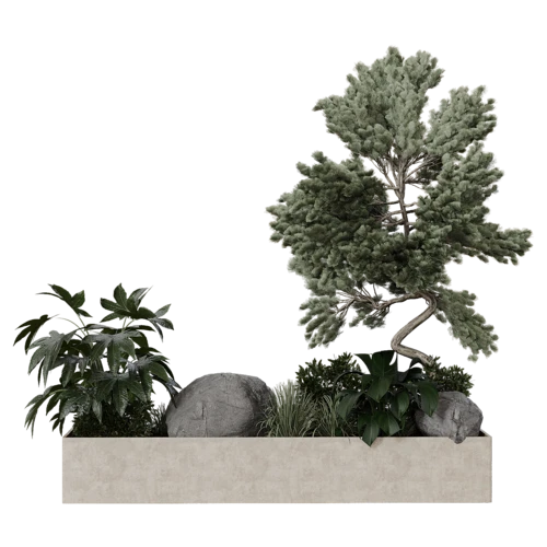 植物