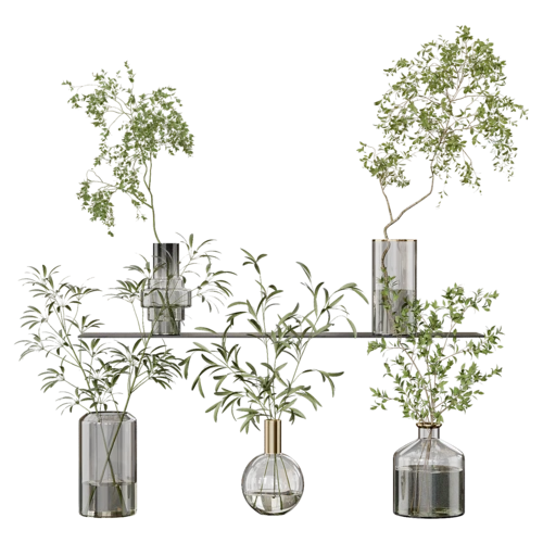 植物