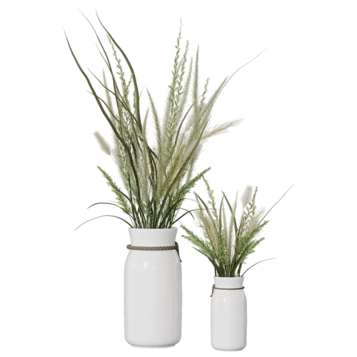 植物