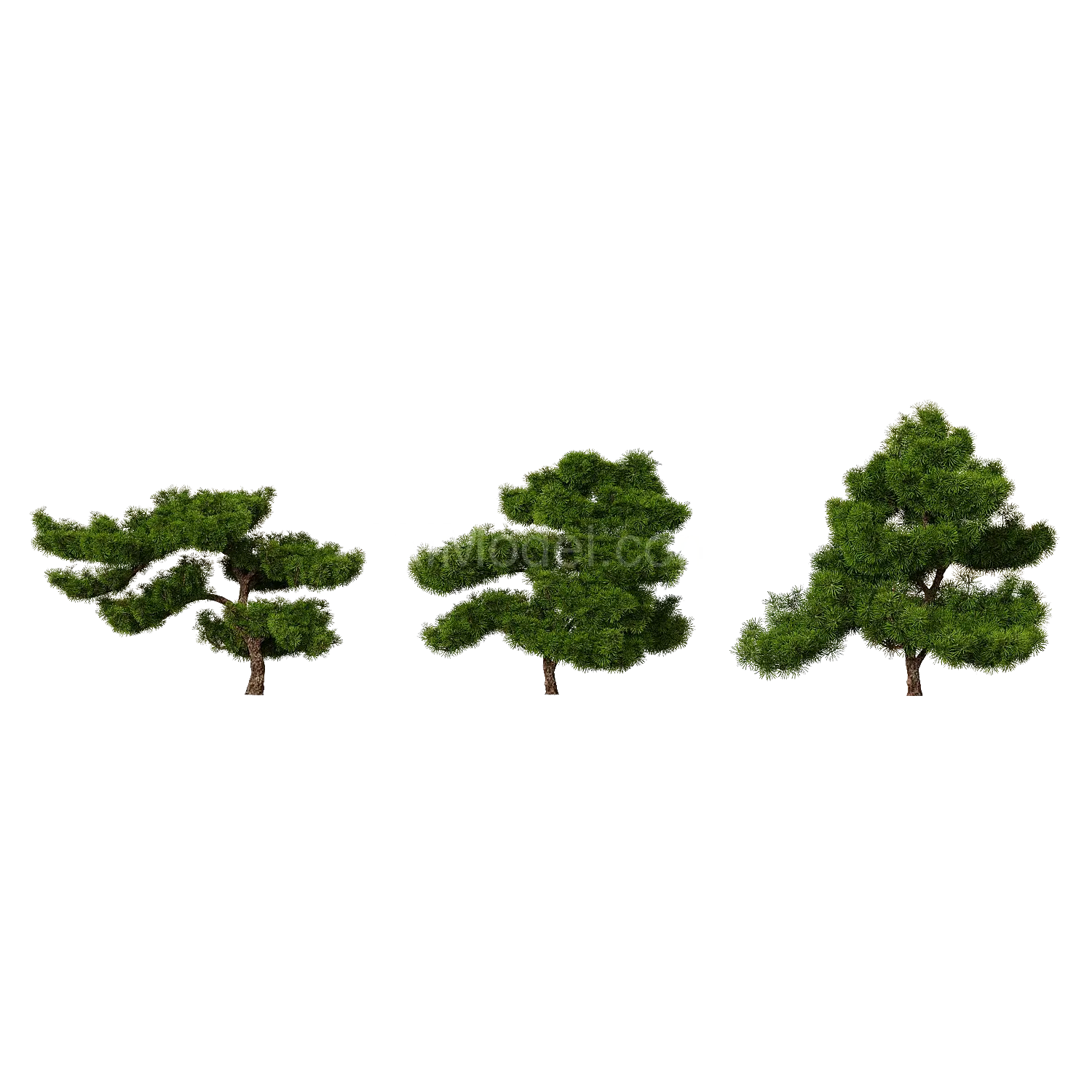 img1