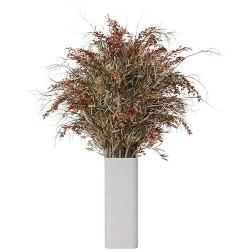 植物