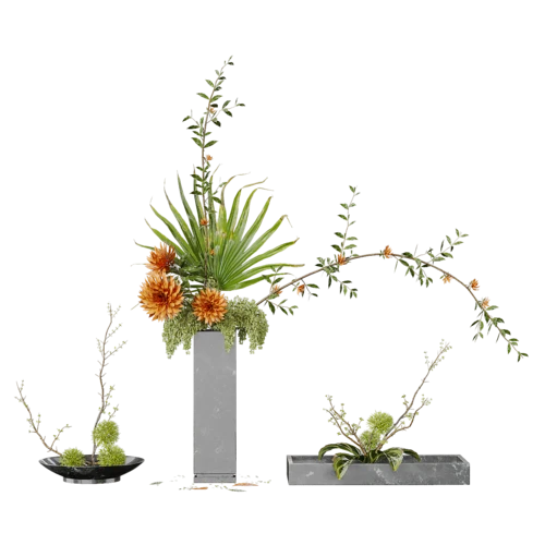 植物