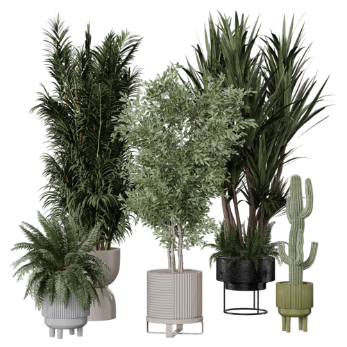 植物