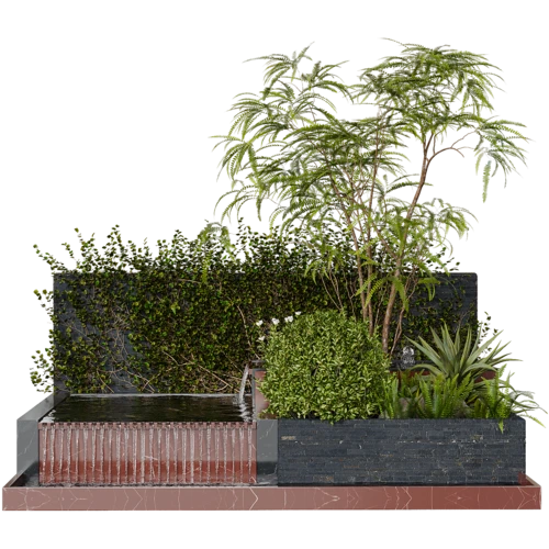 植物