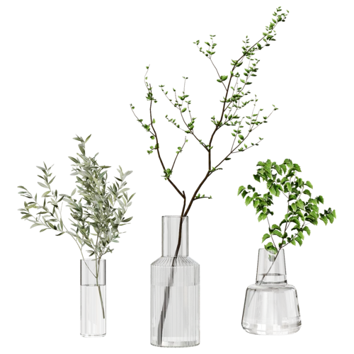 植物