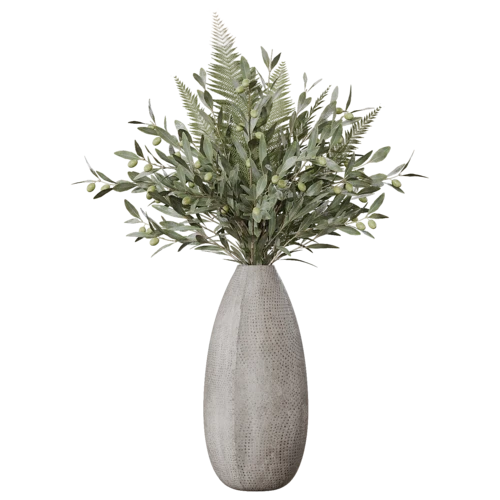 植物