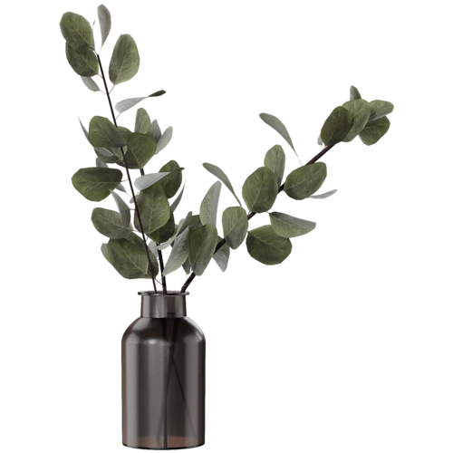 植物