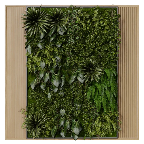 植物
