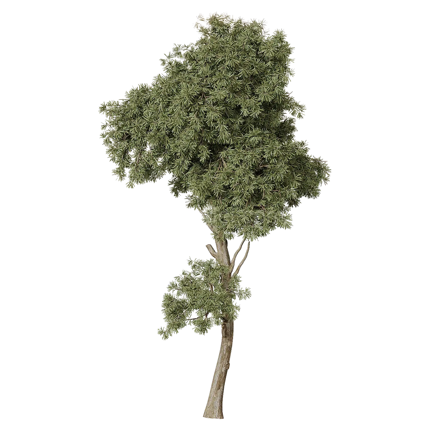 img1