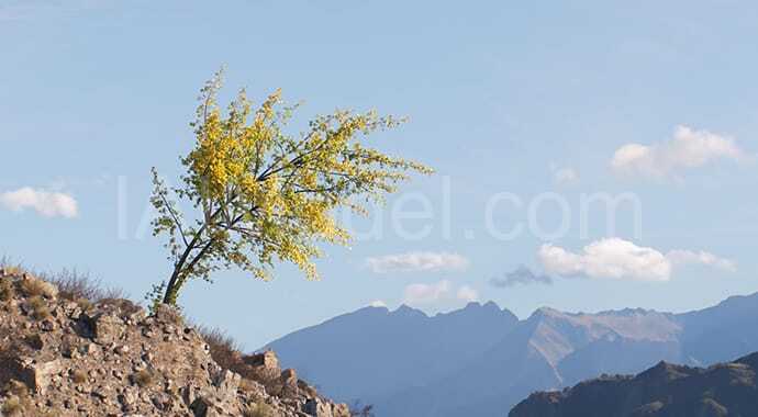 feature-thumb-Deforming_meshes-690x380.jpg