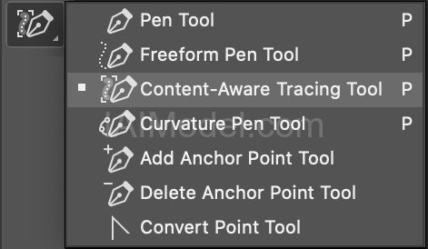 cat-pen-tool.jpg